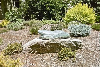 Click to view full size image