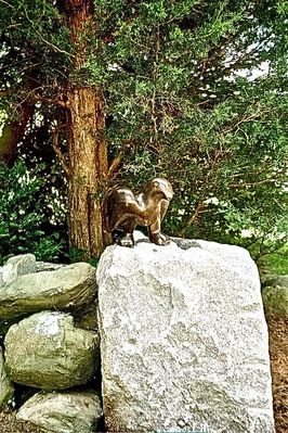 Click to view full size image